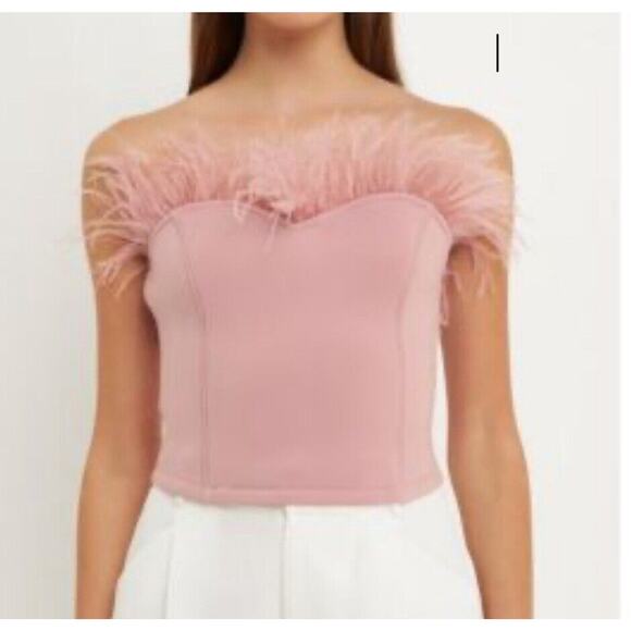 NWT Endless Rose Pink Feathers Embellished Bustier Bodice Top Feathers Sz Medium - Picture 1 of 9